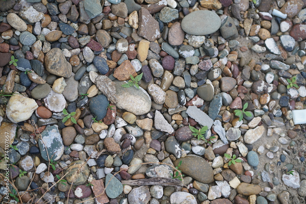 stone pebbles, texture of small stones stone pebbles, texture of small stones