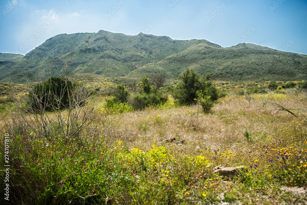 Fototapeta premium Spanish Landscape