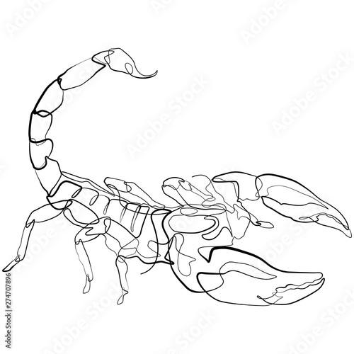 Scorpion one line drawing. Continuous line zodiac sign animal Vector Art