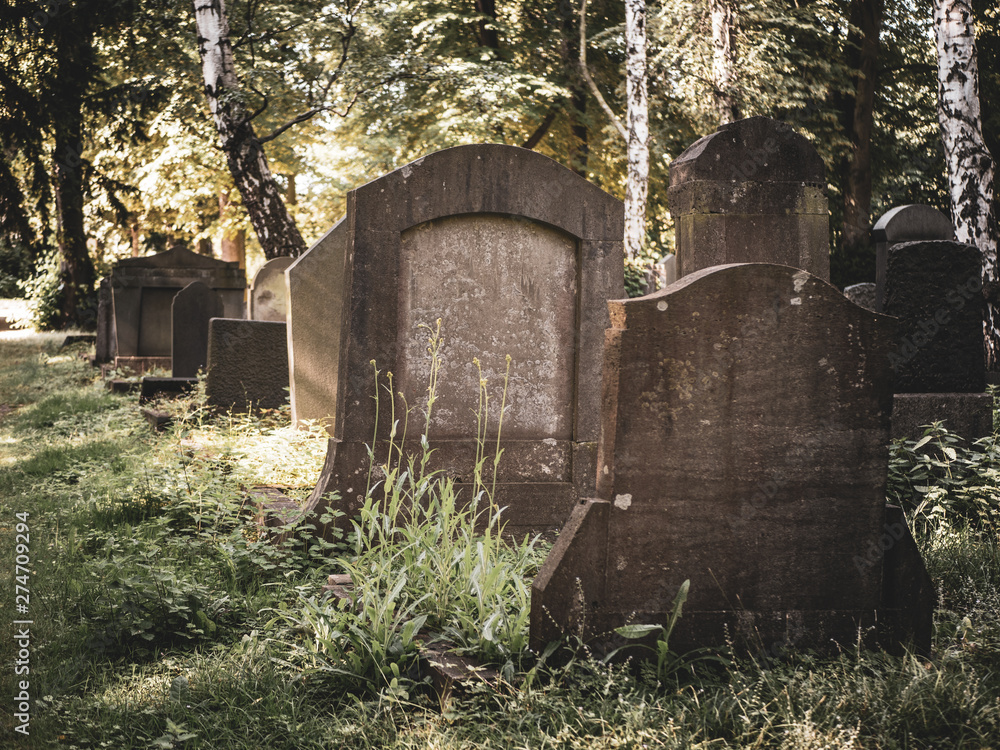 Naklejka premium Jüdischer Friedhof in Köln, alte Grabsteine