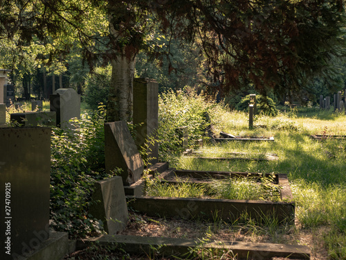 Jüdischer Friedhof 3 photo