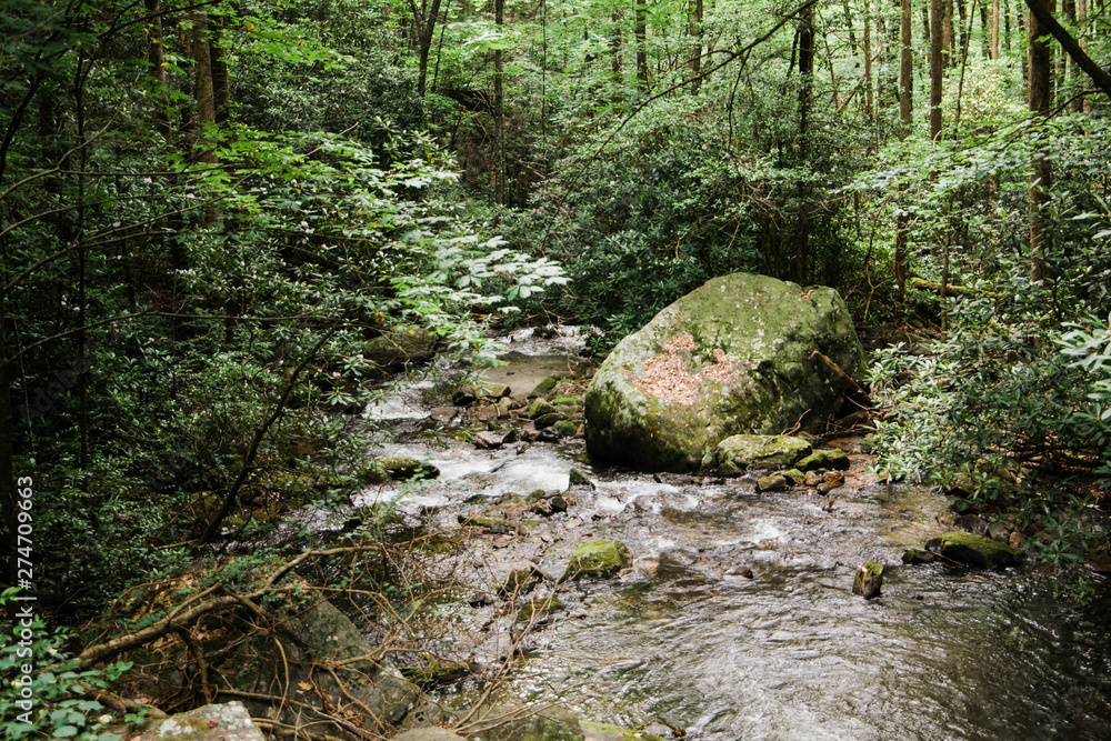 North Georgia Water Stream River National Park North Georgia Water Stream River National Park