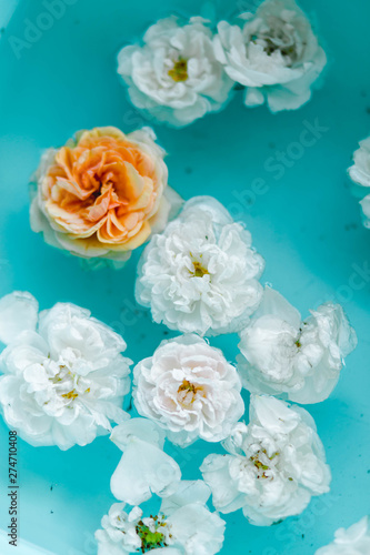 Tenderness floral texture of roses in water on blue background