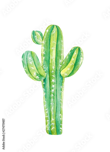 watercolor cactus. Raster illustration. illustration for greeting cards, invitations, and other printing projects. on white background.High resolution.Clipping path included.