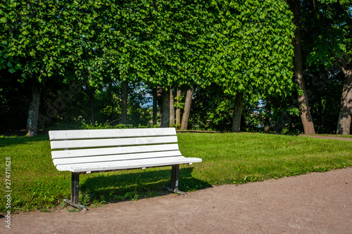 White bench in the summer park, sunny day