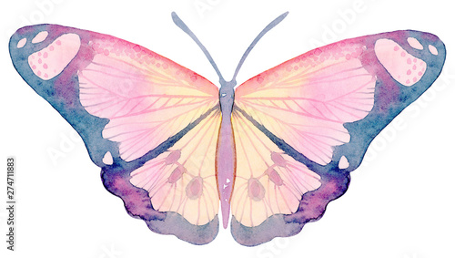 Cartoon watercolor illustration. Cute hand-drawn yellow-pink butterfly isolated on white background.