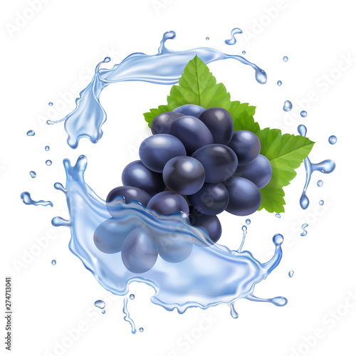 Red grape branch in water splash realistic vector icon