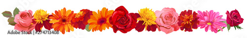 Panoramic view: roses, gerberas, daisies, marigold (tagetes). Horizontal border, garland flowers for Indian religion festive decoration. Botanical illustration, watercolor style, vintage, vector