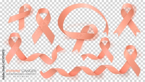 Uterine Cancer Awareness Month. Peach Color Ribbon Isolated On Transparent Background. Vector Design Template For Poster.