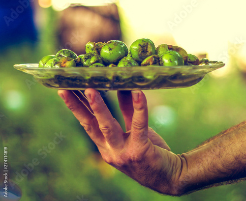 hand holding green leaf photo