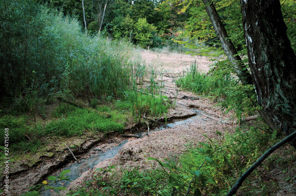 little spring flowing in the autumn forest little spring flowing in the autumn forest
