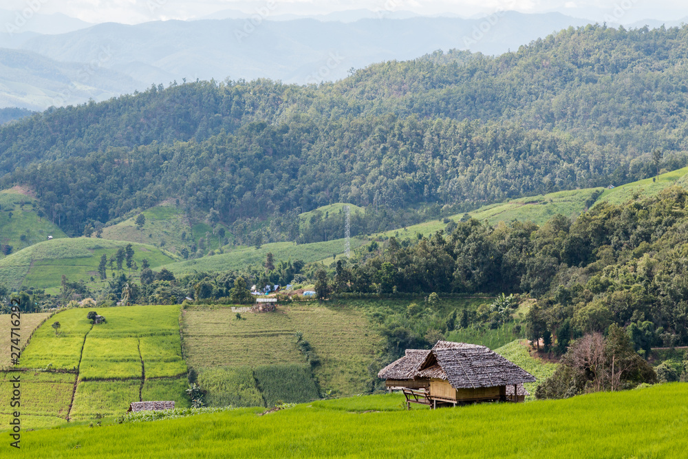 Landscape view farm rice at Ban Papongpieng Rice Terraces, Chiang Mai, Thailand