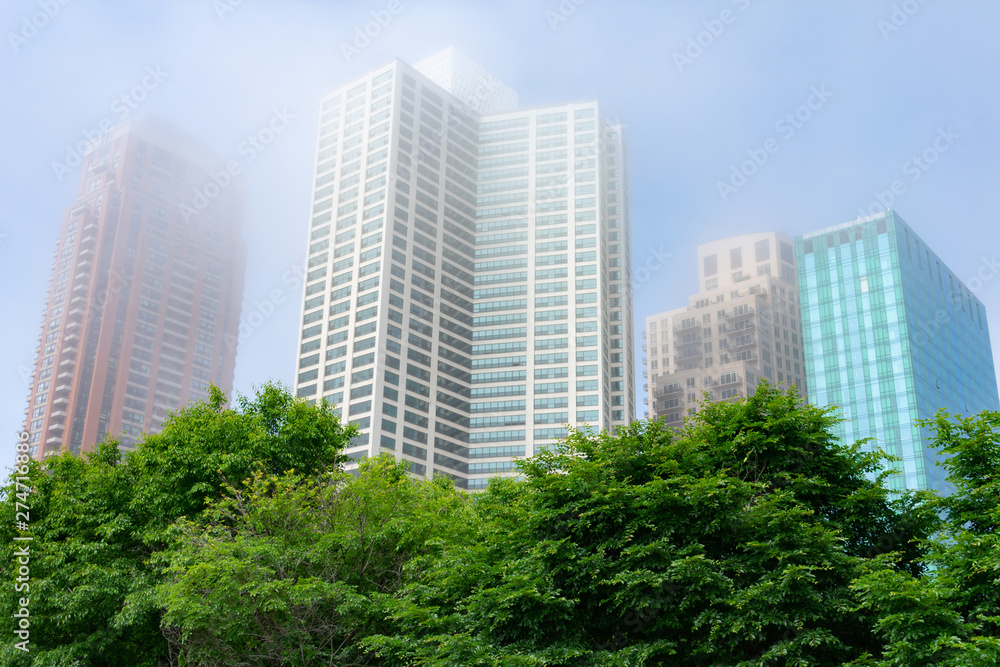Green Trees in front of Skyscrapers along Michigan Avenue in the South Loop of Chicago on a Foggy Day