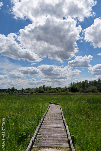 Episy  swamp nature resrve in the French Gâtinais regional nature park photo