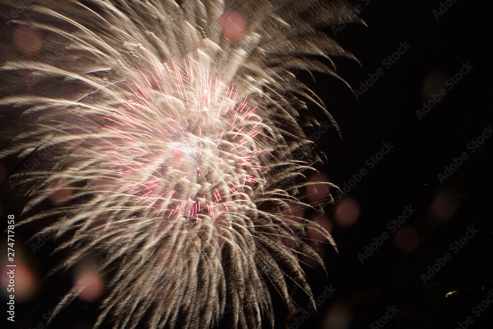 Firework on the sky . Great holiday of a great country. The celebration of Independence Day in the United States of America. 4th of July. Firework on the sky . Great holiday of a great country. The celebration of Independence Day in the United States of America. 4th of July.