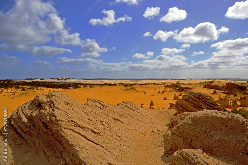 Naklejka premium The Pinnacles, Nambung National Park, Cervantes, West Australia, Australia