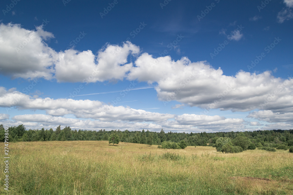 Field and blue sky. Open landscape Field and blue sky. Open landscape