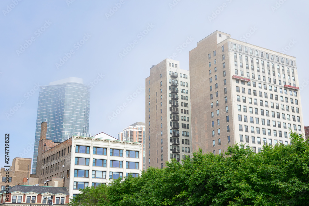 Green Trees in front of Skyscrapers along Michigan Avenue in the South Loop of Chicago on a Foggy Day