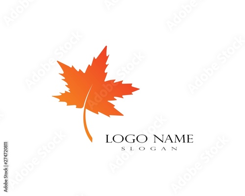 Oak Leaf Logo template vector illustration