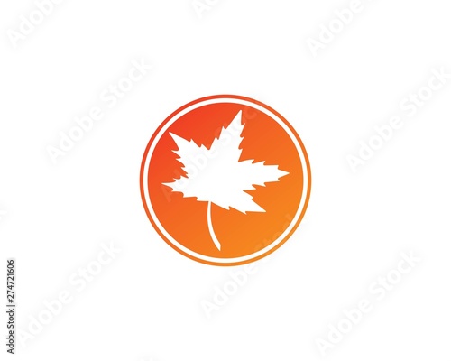 Oak Leaf Logo template vector illustration