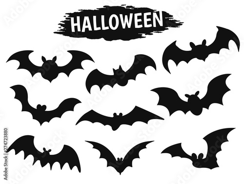 Dracula bat s shadow icon during the Halloween season.
