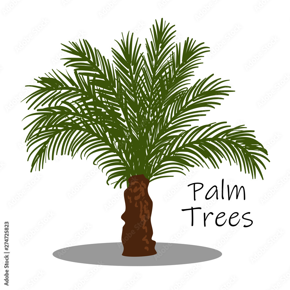 Obraz premium palm trees