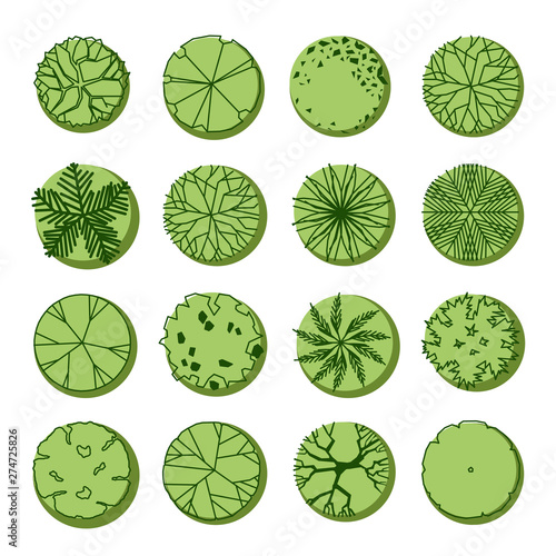 Top view Plan tree icon set