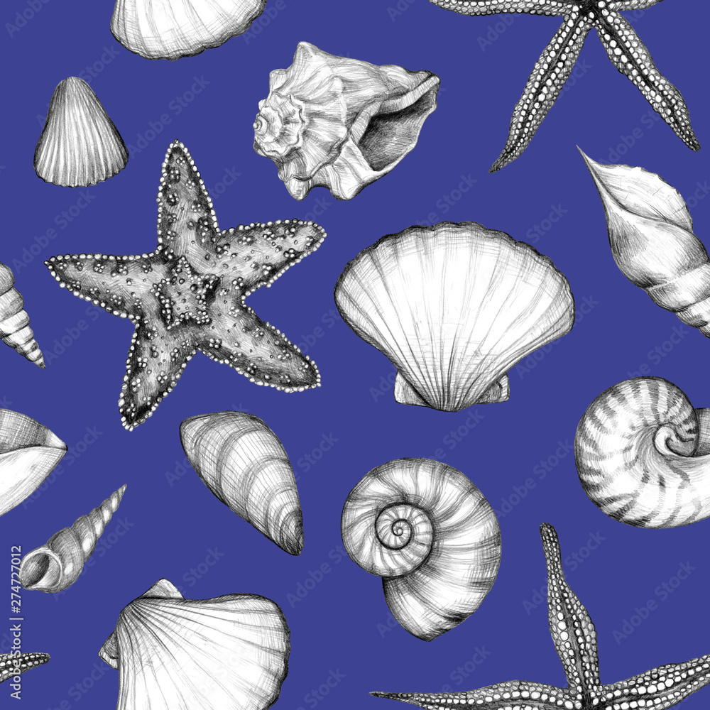 Fototapeta premium Sea summer seamless pattern. Graphic drawings of starfish, shells, mollusks on a blue background. Vintage style. Original pencil hand drawn illustration. Tropical seashells texture.