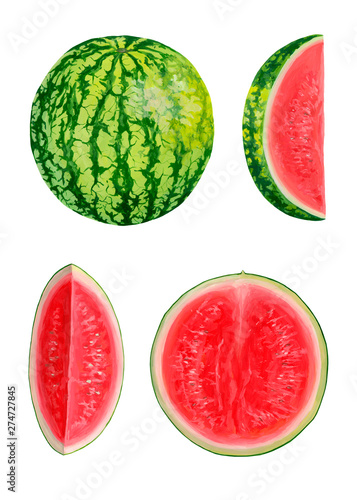 Collection with bright and fresh fruits. Drawing of acrylic paints whole and sliced watermelons isolated on a white background. Beautiful hand-drawn design elements. Organic food. Realistic drawings.
