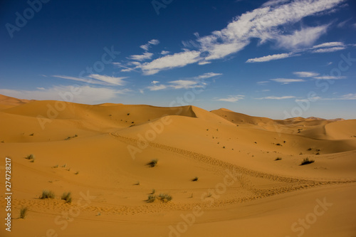 Merzouga  Sahara desert  Morocco  Africa
