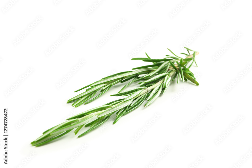 Fresh green rosemary isolated on white background Fresh green rosemary isolated on white background