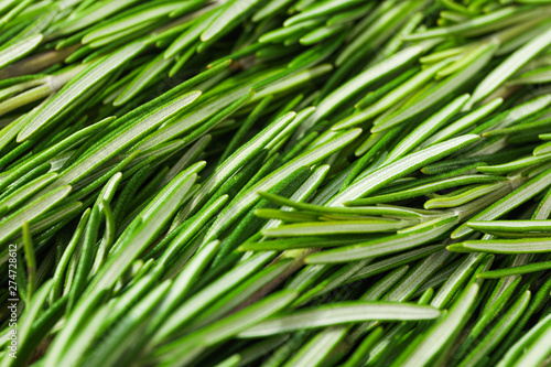 Fresh green rosemary leaves as background  closeup