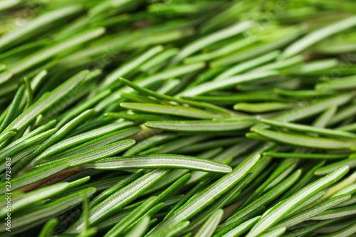 Fresh green rosemary leaves as background  closeup