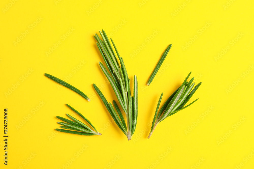 Flat lay composition with rosemary on yellow background, space for text - obrazy, fototapety, plakaty 