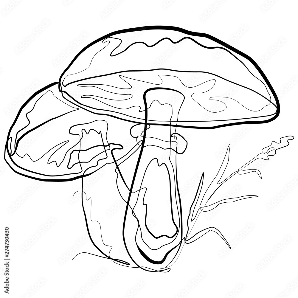 Mushroom one line drawing. Continuous line Nature Shrooms Vector Art