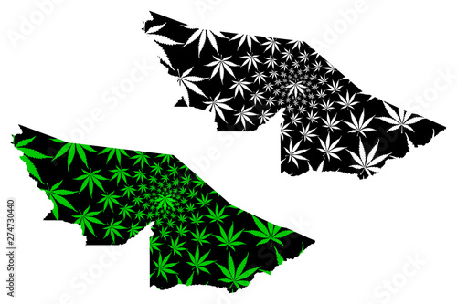 Acre (Region of Brazil, Federated state, Federative Republic of Brazil) map is designed cannabis leaf green and black, Acre (state) map made of marijuana (marihuana,THC) foliage....