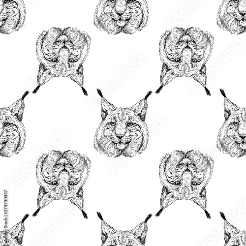 Seamless pattern of hand drawn sketch style portraits of lynx isolated on white background. Vector illustration.