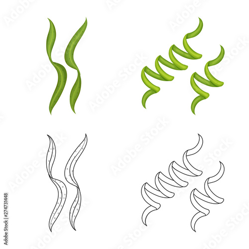 Vector illustration of protein and sea icon. Collection of protein and natural vector icon for stock.