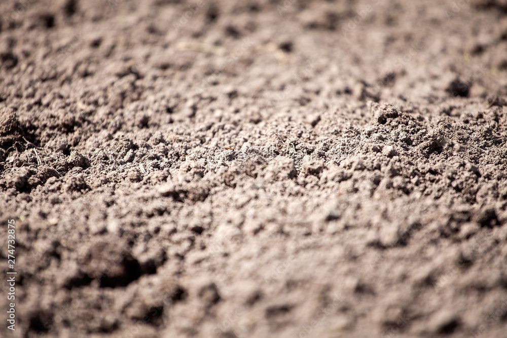 Dirt seamless texture soil land texture terra background Stock Photo |  Adobe Stock