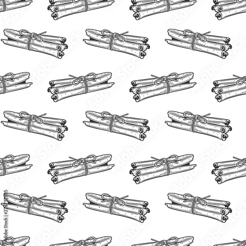 Cinnamon sticks. Vector concept in doodle and sketch style. Hand drawn illustration for printing on T-shirts, postcards.