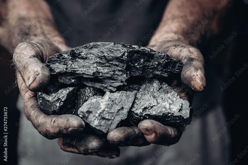 Miner holds coal, palm texture. Concept mining, black stone. Miner holds coal, palm texture. Concept mining, black stone.