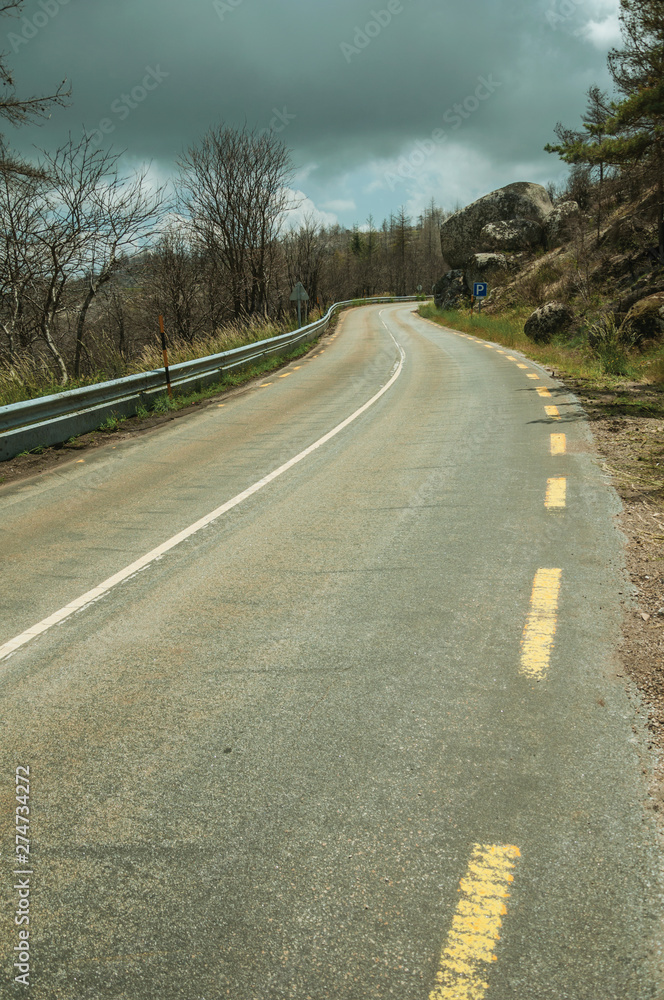Fototapeta premium Road passing through burnt forest on rocky landscape
