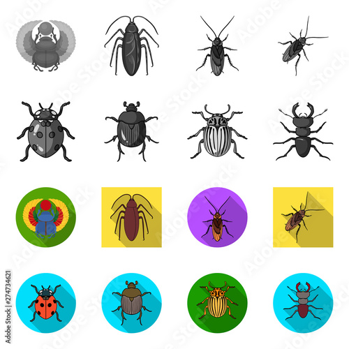 Isolated object of insect and beetle icon. Set of insect and halloween vector icon for stock. © pandavector