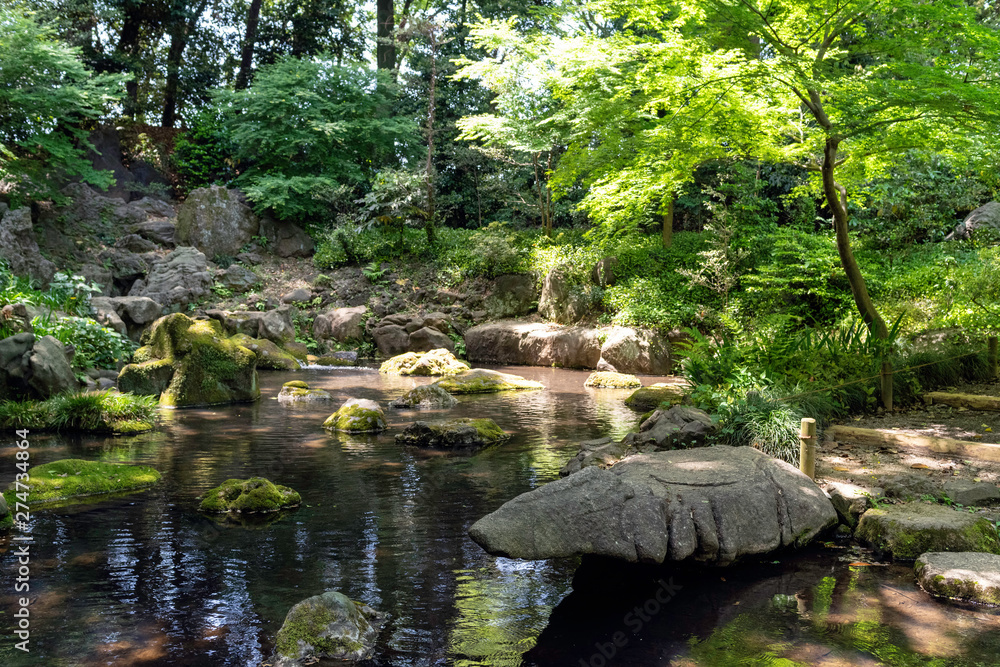 Fototapeta premium 日本庭園
