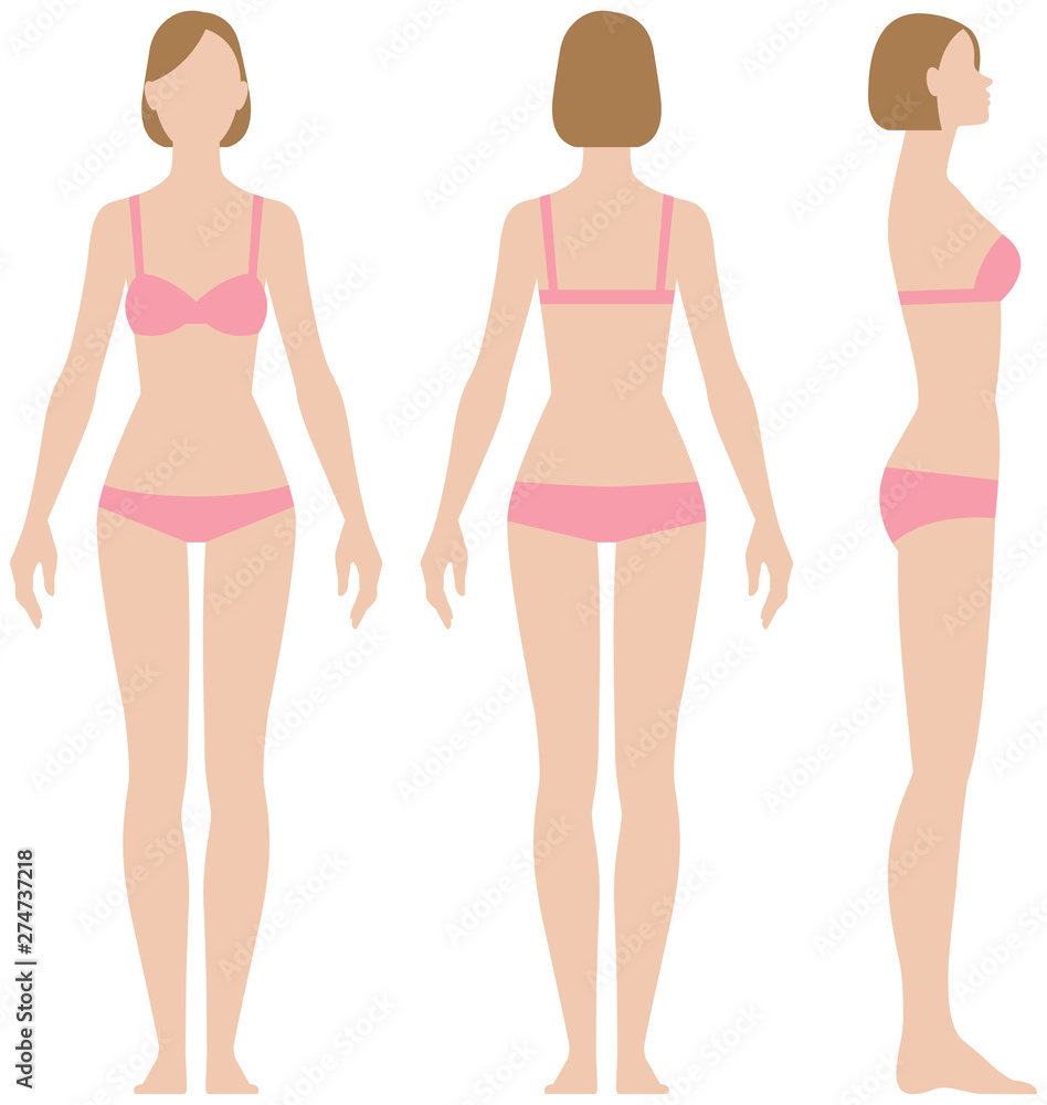 Woman in underwear in three projections front view side and back vector illustration Woman in underwear in three projections front view side and back vector illustration