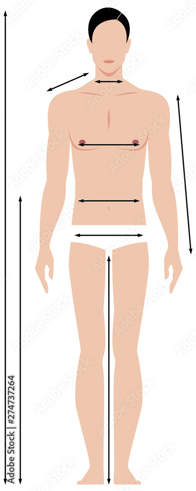 Pattern of the male body measurements in full length. Template for  measuring body proportions Stock Vector | Adobe Stock