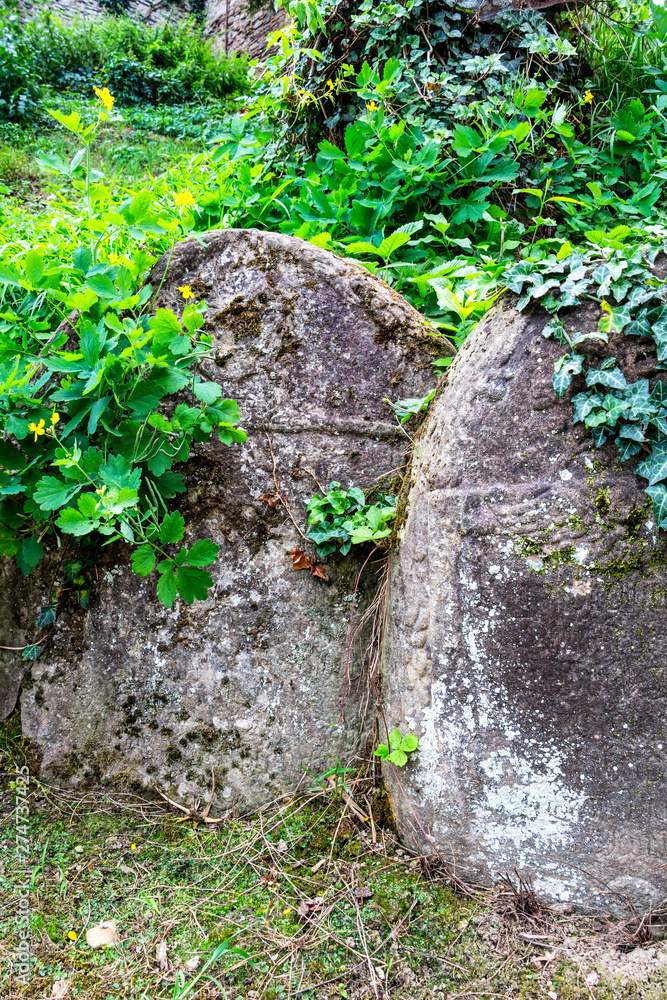 Old overgrown tombstones at the cemetery of Biserica din Deal or Church on the Hill in Sighisoara, Mures County, Romania, Transylvania Old overgrown tombstones at the cemetery of Biserica din Deal or Church on the Hill in Sighisoara, Mures County, Romania, Transylvania