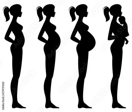 Vector illustration of pregnant female silhouettes and baby. Woman's body and its changes during pregnancy