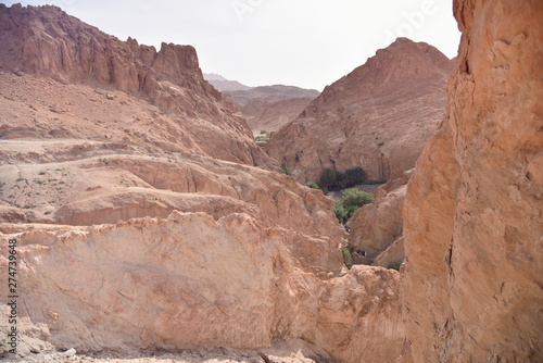 CHEBIKA  TN - JULY  2019  Chebika Oasis lies at the foot of the mountains of the Djebel el Negueb and it is known as Qasr el-Shams  Castle of the Sun in Arabic .