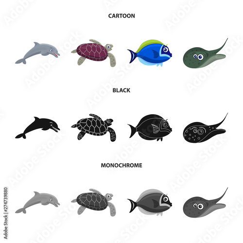 Isolated object of sea and animal sign. Set of sea and marine stock symbol for web.